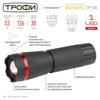 Ручной светодиодный фонарь ЭРА Трофи от батареек 105х30 53 лм TP1W Б0003941