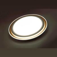 Настенно-потолочный светодиодный светильник Sonex Setta 7630/EL