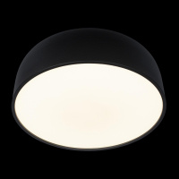 Потолочный светодиодный светильник Loft IT Axel 10201/480 Black