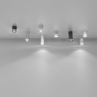 Потолочный светодиодный светильник Elektrostandard DLR022 12W 4200K белый матовый 4690389102974