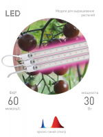 Модульный светодиодный светильник для растений ЭРА Fito-3х10W-Line-RB90 Б0050924