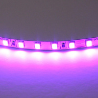 Светодиодная лента Lightstar 12W/m 120LED/m фиолетовый 5M 420518