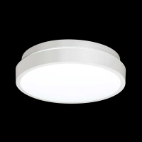 Настенно-потолочный светильник Sonex Mini Smalli 3014/AL