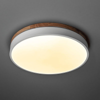 Потолочный светодиодный светильник Ritter Snello 51623 5