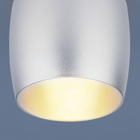 Встраиваемый светильник Elektrostandard 6074 MR16 SL серебро a043976