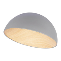 Потолочный светодиодный светильник Loft IT Egg 10197/500 Grey