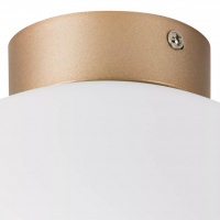 Настенно-потолочный светильник Lightstar Globo 812033