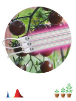Модульный светодиодный светильник для растений ЭРА Fito-3х10W-Line-RB90 Б0050924