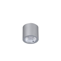 Потолочный светодиодный светильник Favourite Deorsum 2808-1C