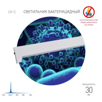 Ультрафиолетовый бактерицидный светодиодный светильник ЭРА ОБН01-30-011 Фотон Б0048260